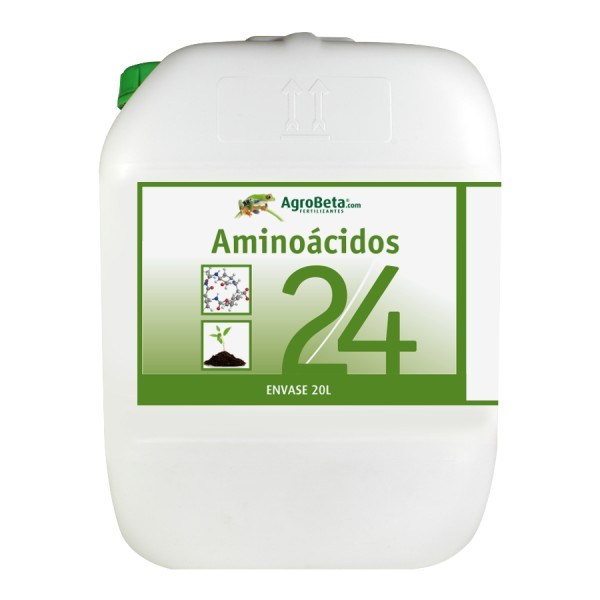 aminoa 24 20